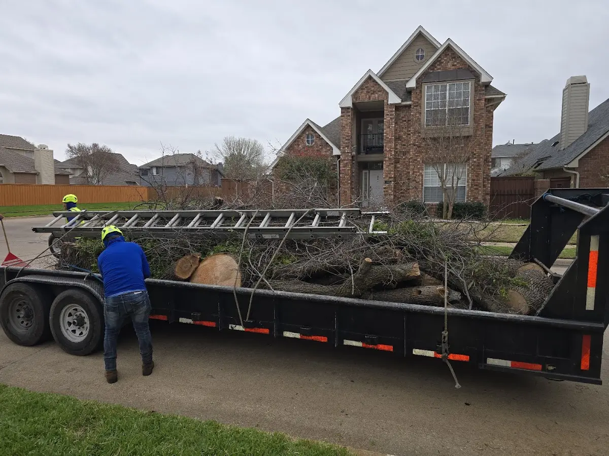Expert Tree Fertilization with proper safety equipment in Tyonek